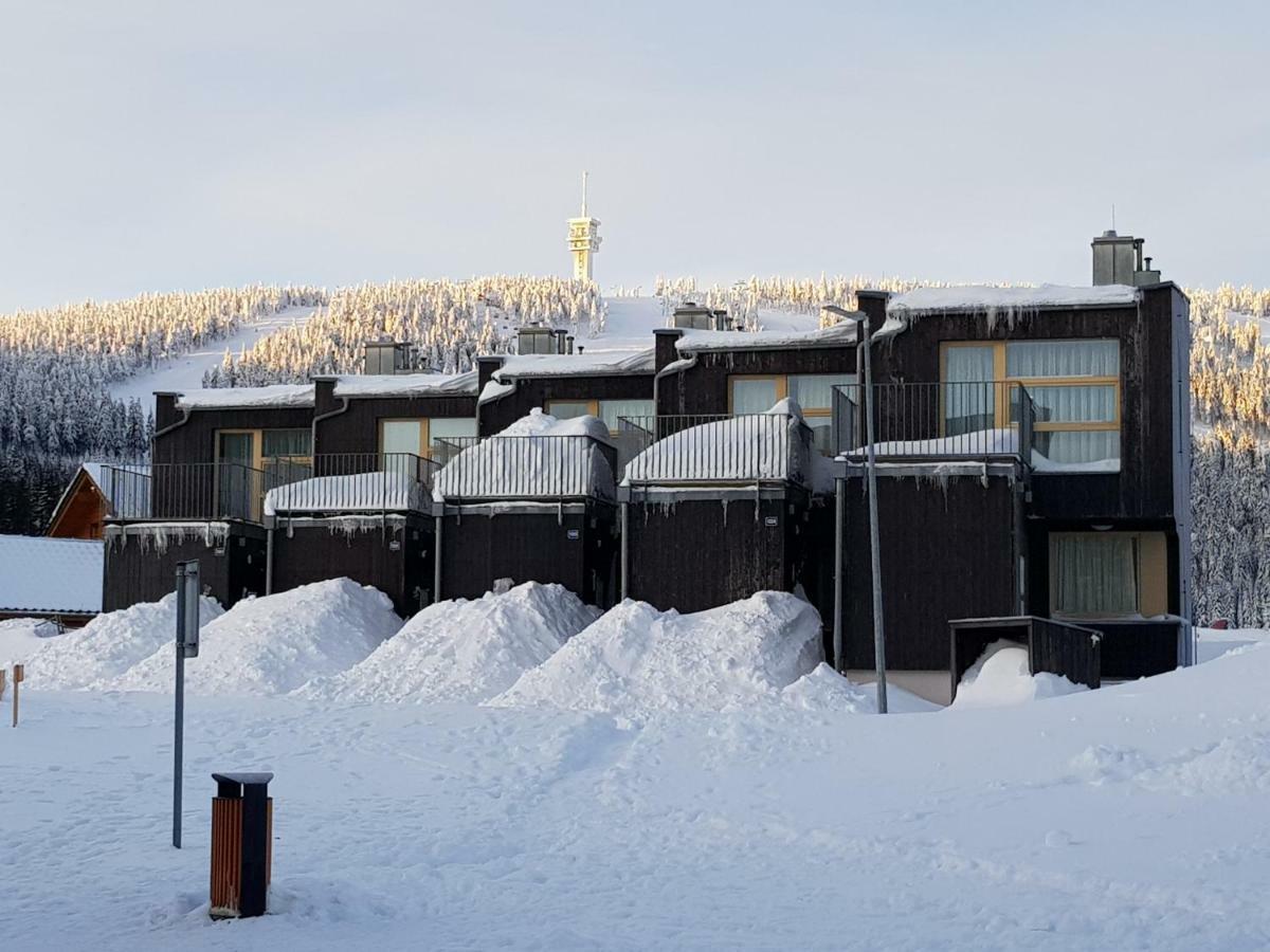 Apartamento Loučná pod Klínovcem 124/1 Exterior foto